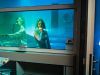 Escaperoom in Fabriek woerden